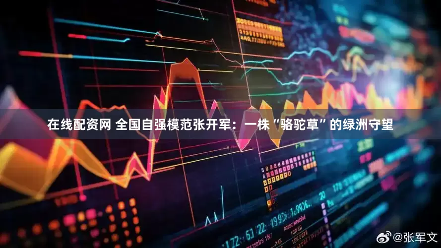 在线配资网 全国自强模范张开军：一株“骆驼草”的绿洲守望